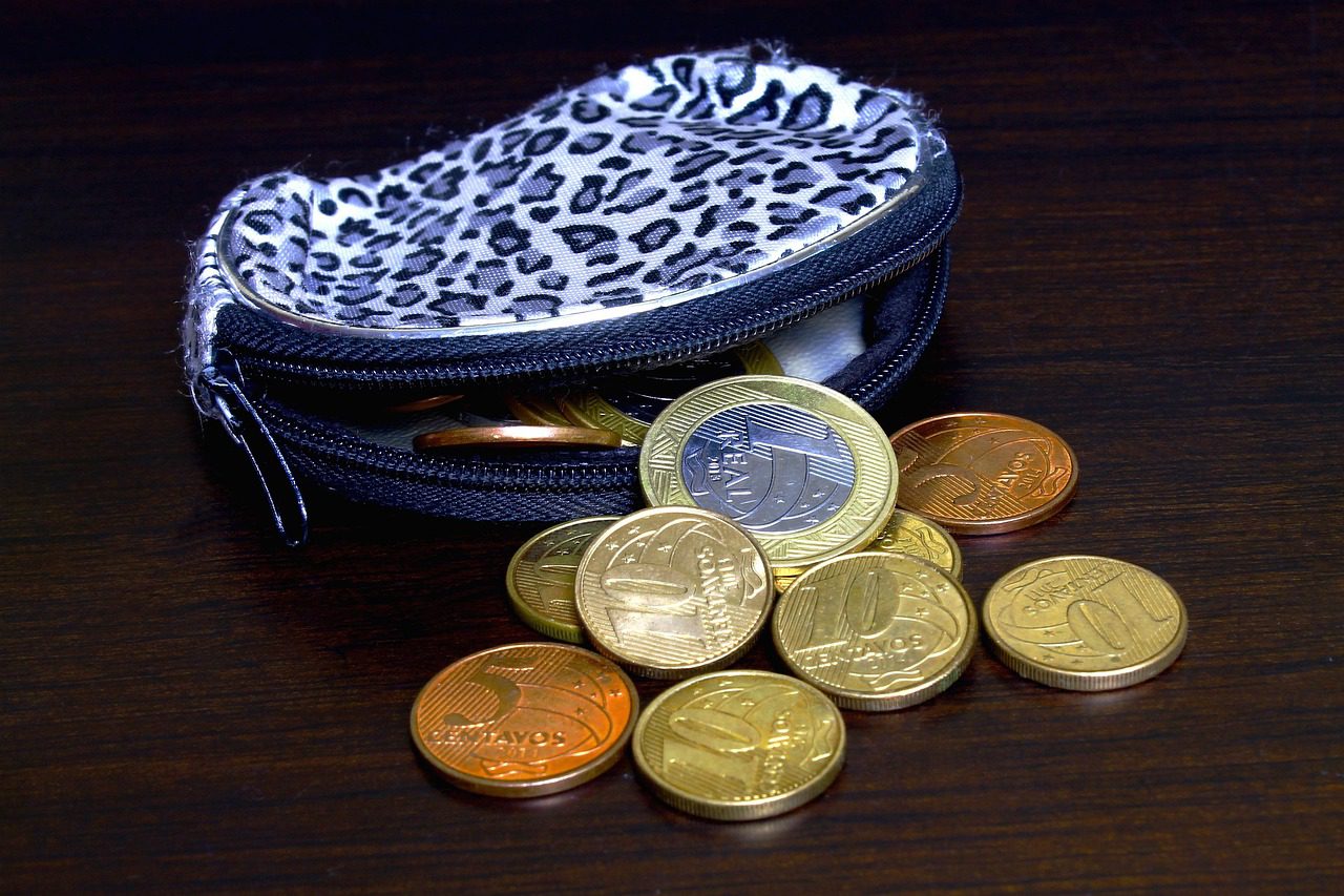 coin purse, little bag, handbag, female, coins, money, coin purse, coin purse, coin purse, coin purse, coin purse, handbag, coins, coins, coins, coins, money, money