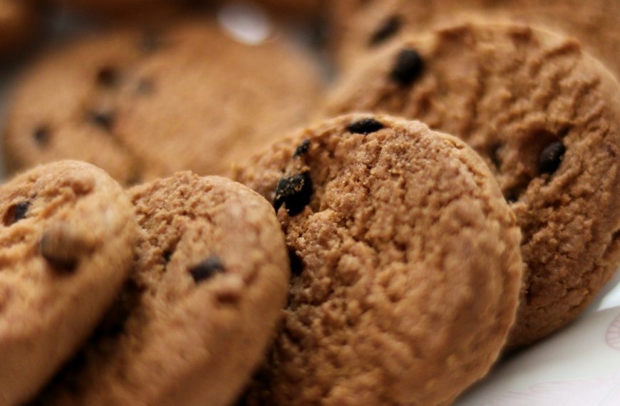 brown cookies on white ceramic plate