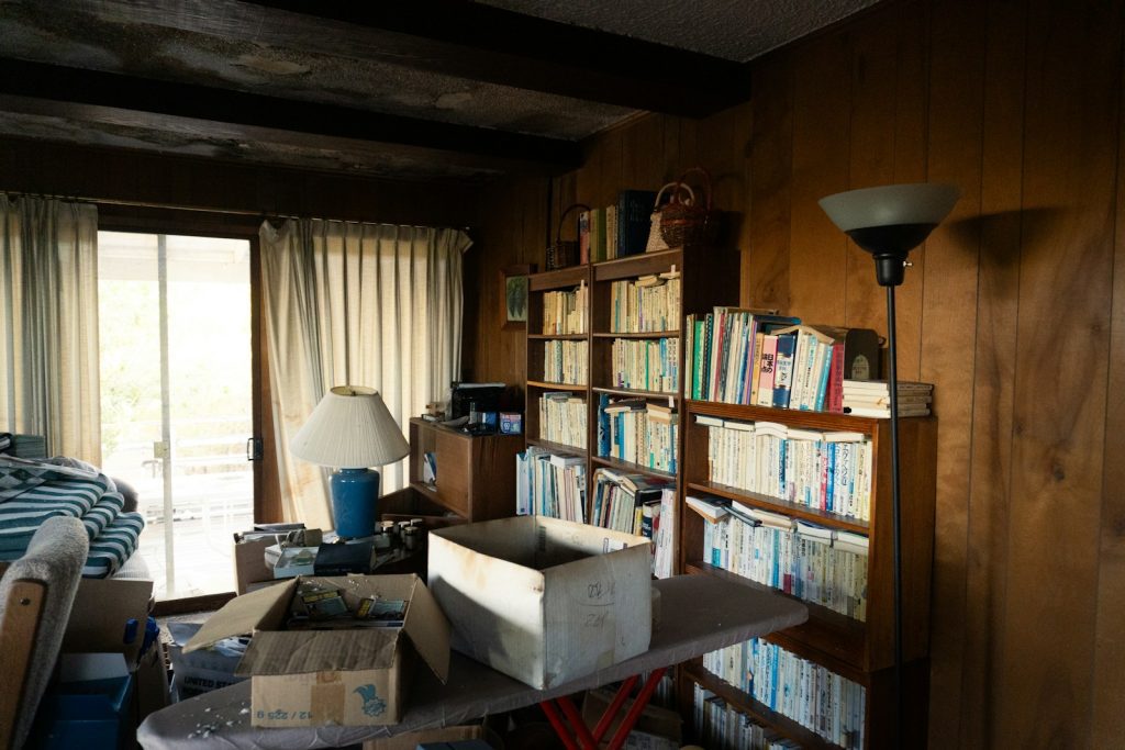 Living room with bookshelves and boxes.