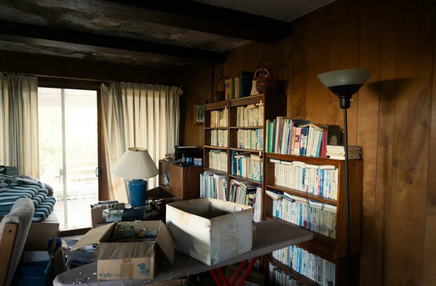 Living room with bookshelves and boxes.
