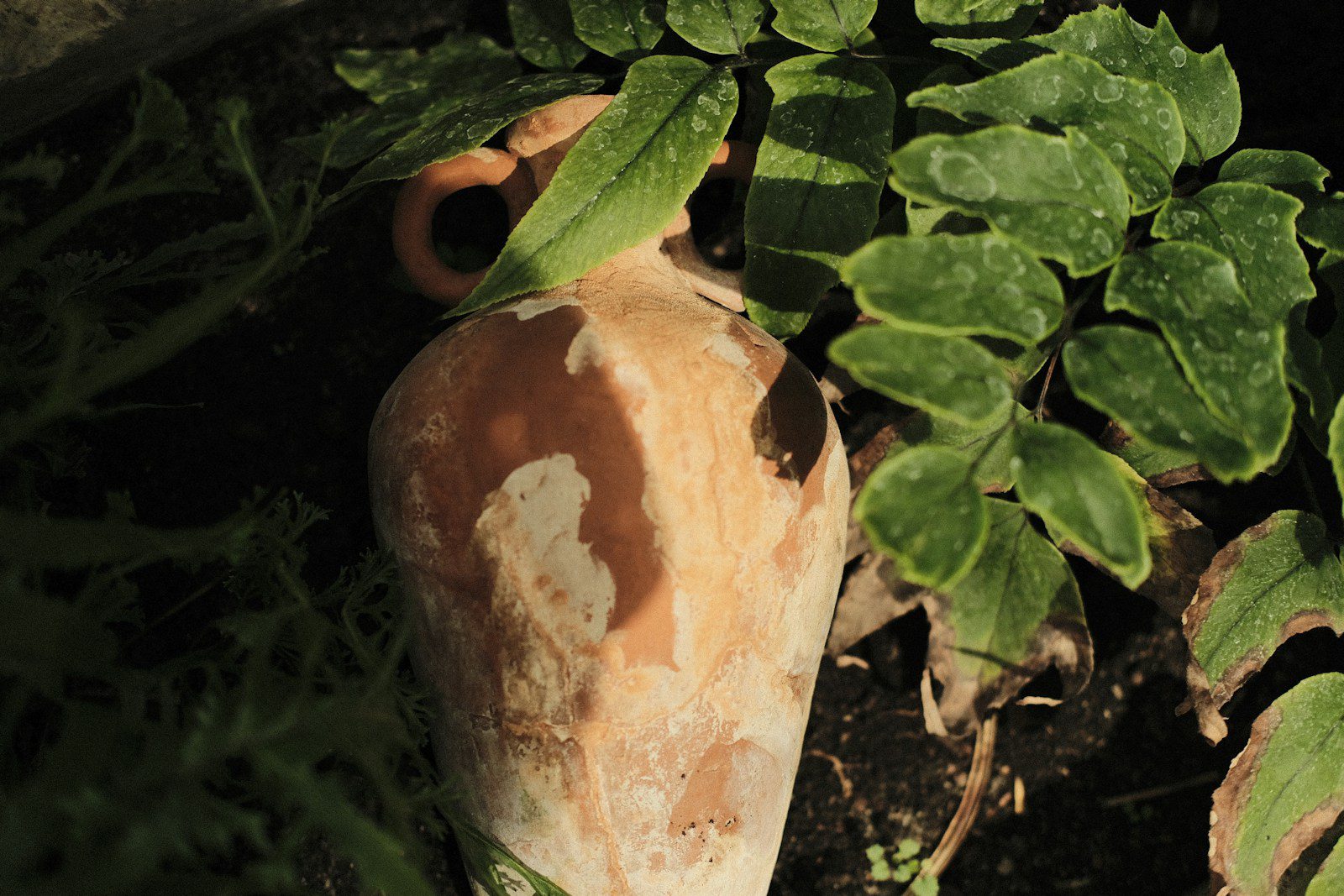 a broken vase sitting in the middle of a garden