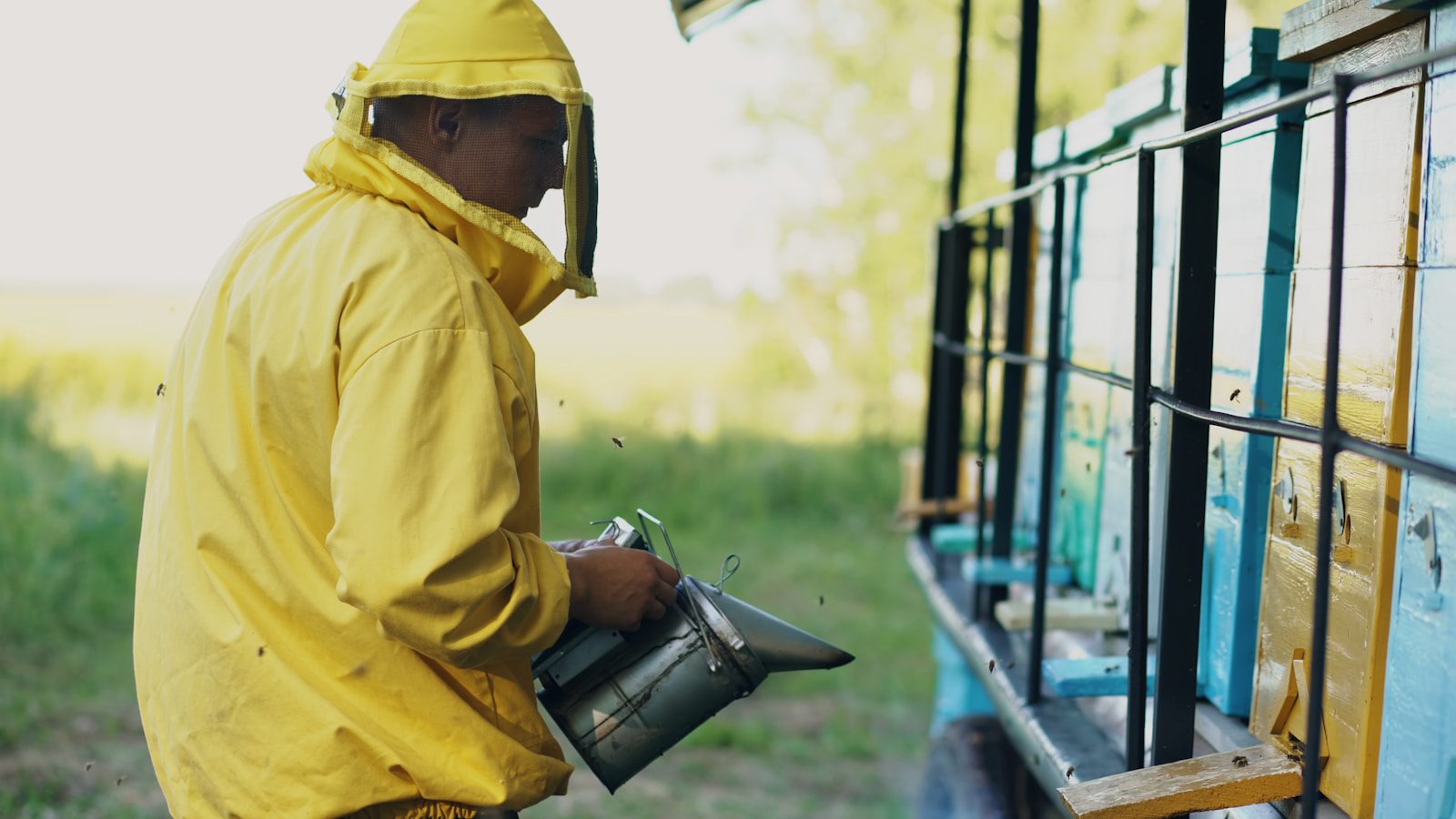 Beekeeper in yellow suit using a smoker near hives.