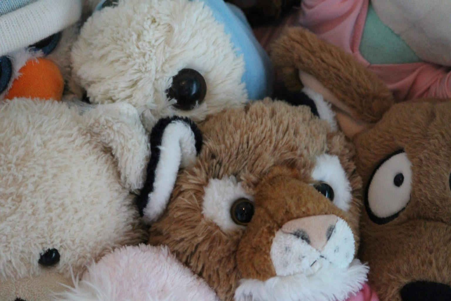 6 Beanie Babies That Still Sell for Thousands – Decluttering Mom