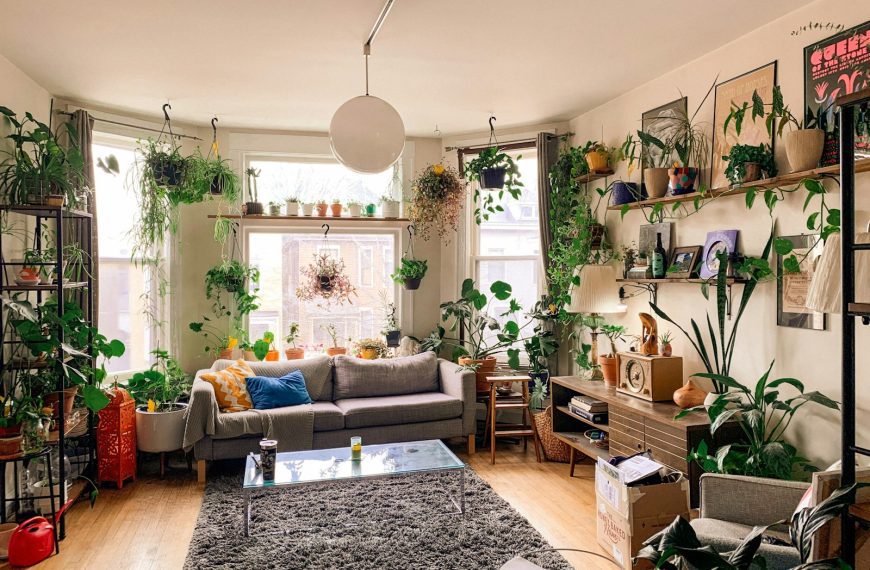 a living room filled with lots of plants and furniture