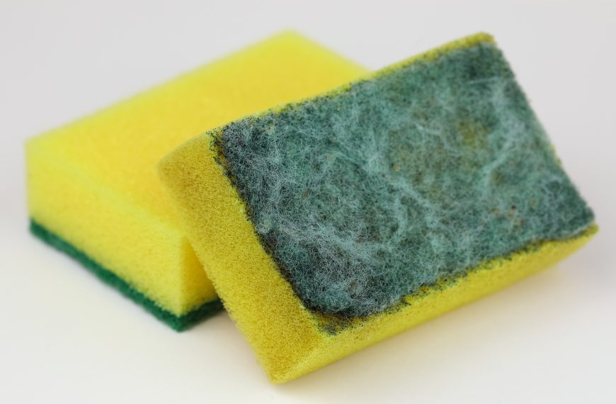 5 Things You Should Never Keep on Counters And…