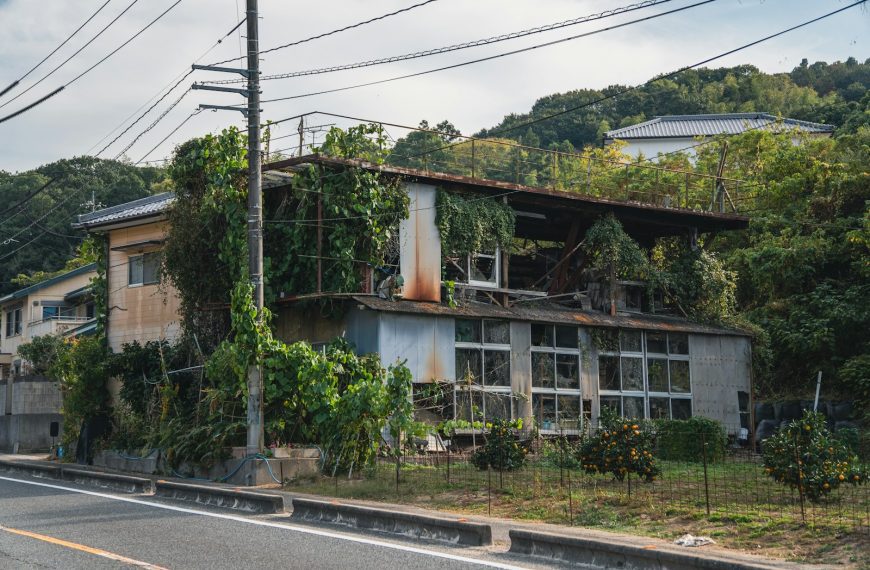 Abandoned building overgrown with lush green plants