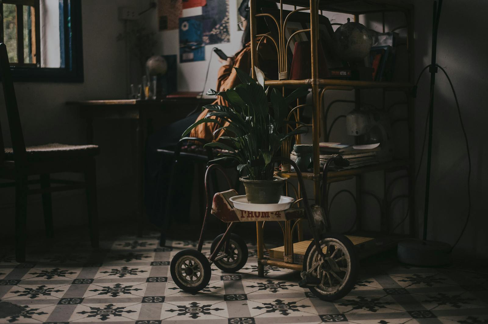 A cozy, dimly lit indoor room with vintage decor featuring a tricycle and potted plant.