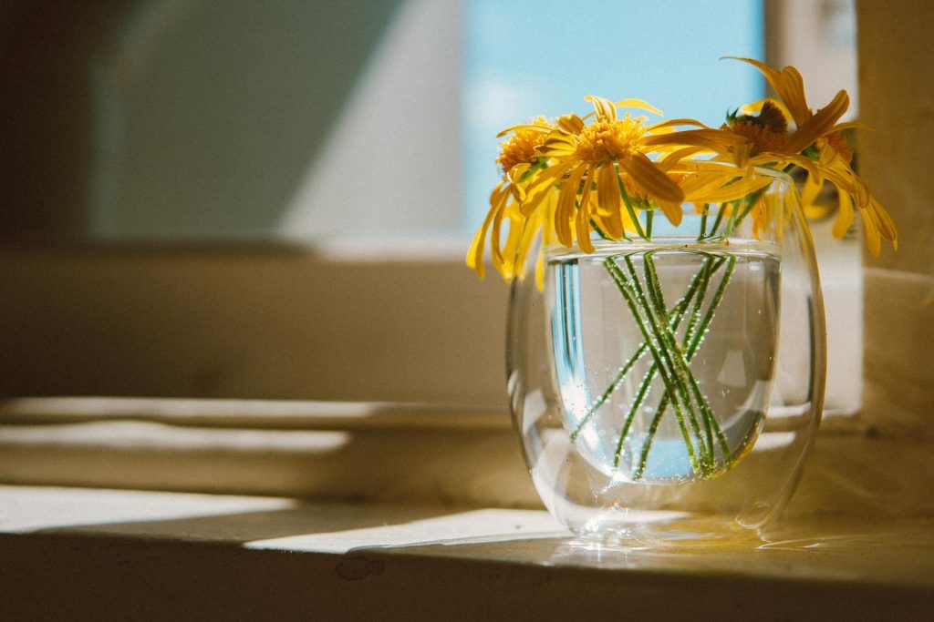 Bright yellow flowers in a glass vase bathed in sunlight on a windowsill.