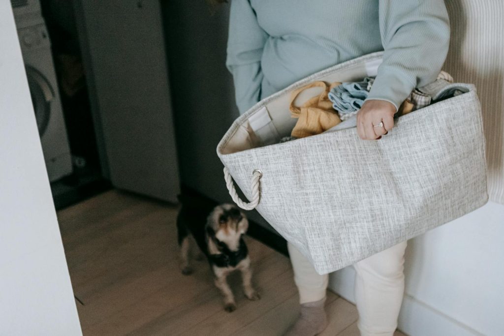 A woman carries a laundry basket with clothes, accompanied by a small dog in a modern home.