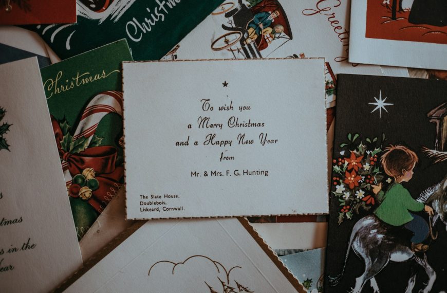 assorted reading book lot