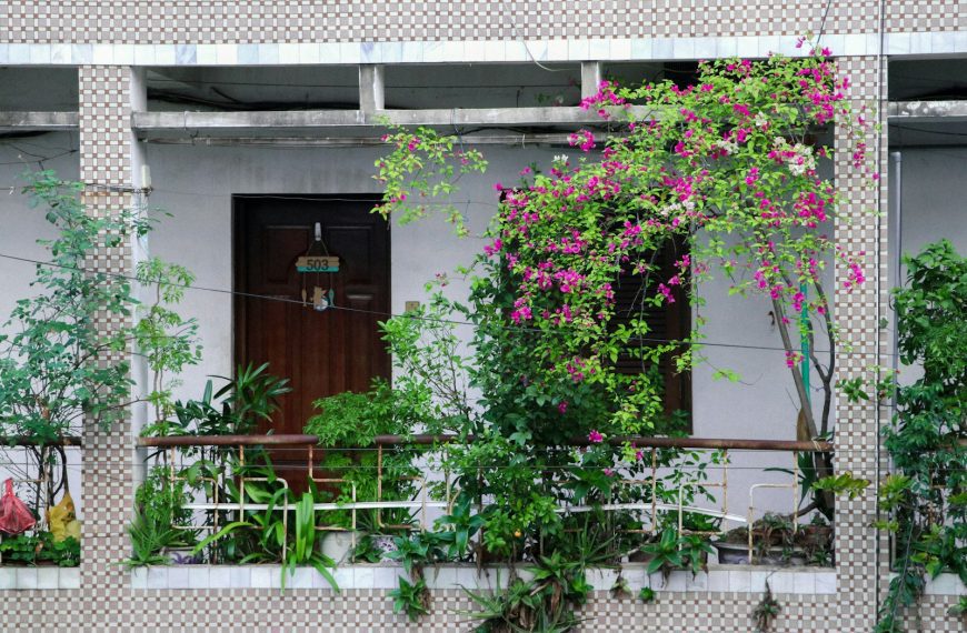 pink flowers on white wall