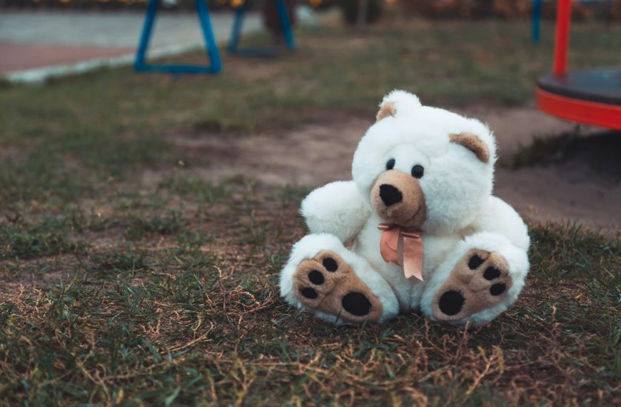 white and brown bear plush toy on grass