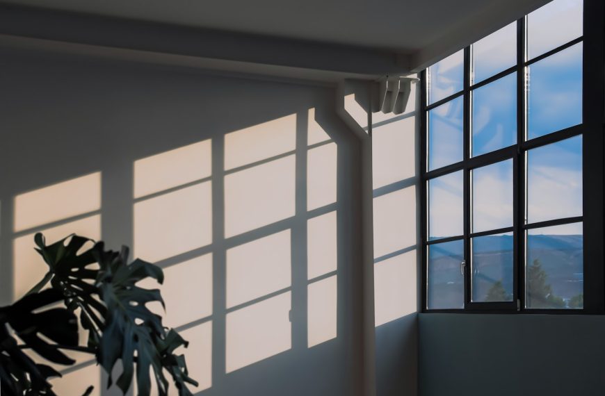 white painted wall close-up photography