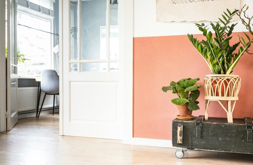 green potted plant on black wooden table