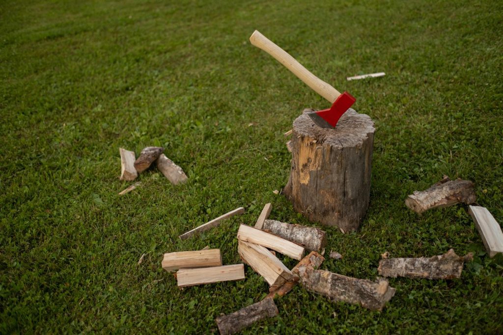 Red-handled axe in a tree stump surrounded by chopped wood on a green lawn.