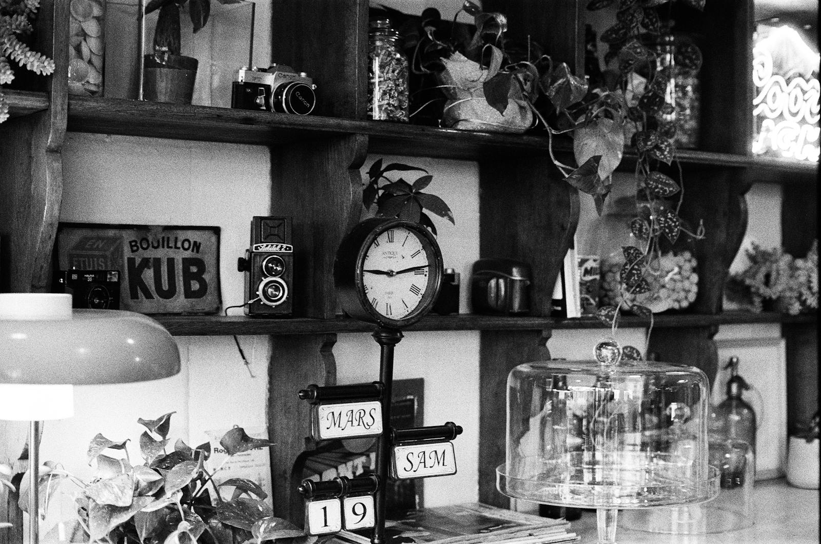 Black and white photo of a vintage shelf with plants and a retro clock.