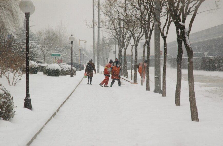 snowfall, snow, shoveling, walking, working, winter, season, december, january, shovel, workers, freezing, nature, frigid, snowstorm, gray work, gray walking