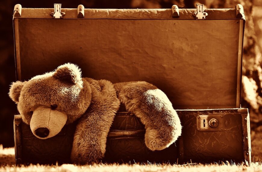 luggage, teddy bear, vintage, suitcase, plush toy, stuffed animal, stuffed toy, teddy, toy, retro, old, antique, sepia, luggage, teddy bear, teddy bear, teddy bear, teddy bear, teddy bear, suitcase, suitcase, teddy, toy