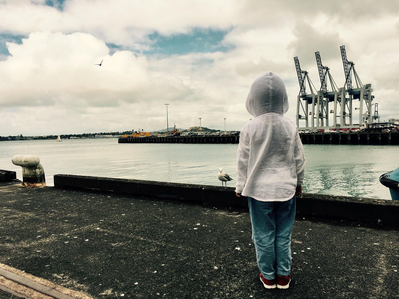 new zealand, auckland, girl, child, port, alone, missing, back, auckland, auckland, auckland, auckland, missing, missing, missing, missing, missing