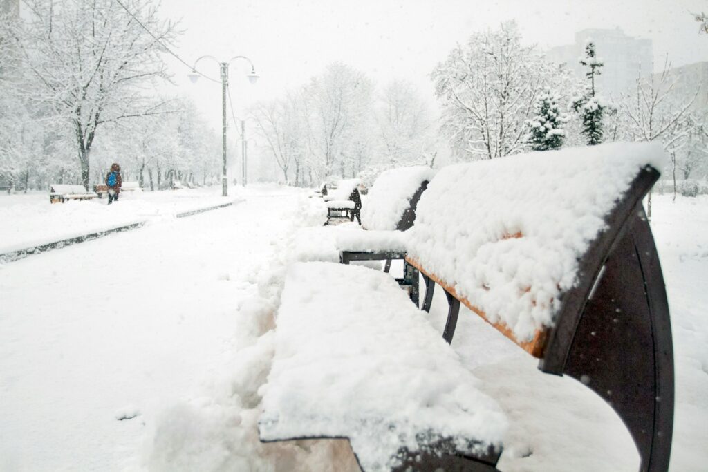 a row of benches covered in snow on a snowy day