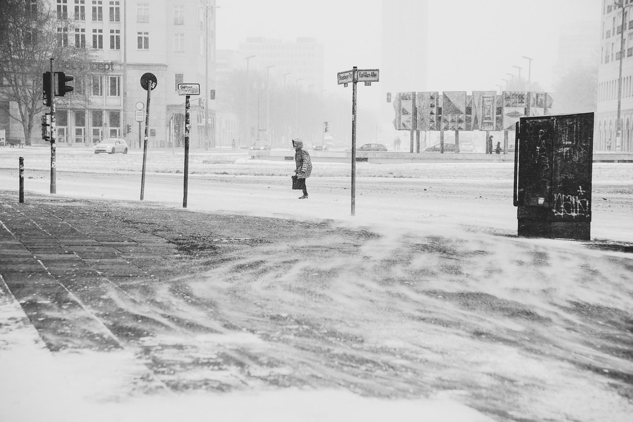 street, winter, city, road, snow, snowing, snowfall, winter clothes, winter clothing, snow storm, person, nature, human, cold, blizzard, black and white, monochrome, street photography