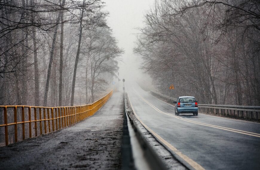 way, street, road, travel, car, car wallpapers, auto, traffic, mood, trees, forest, shoulder, asphalt, the vehicle, the fog, view, scenery, nature, passing, the stage, transport, fall, snowstorm, gloomily, gray, foggy, grey