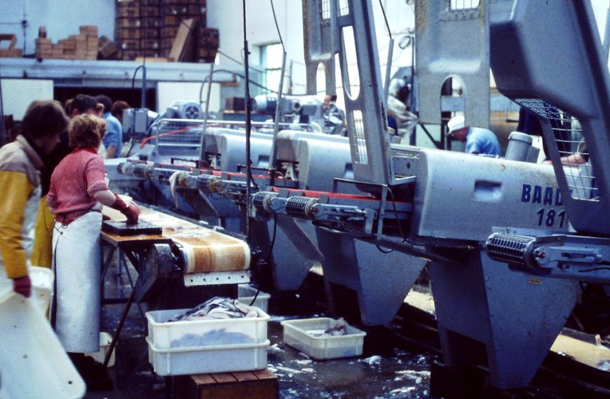 Rodent Contamination and Sanitation Violations&hellip;