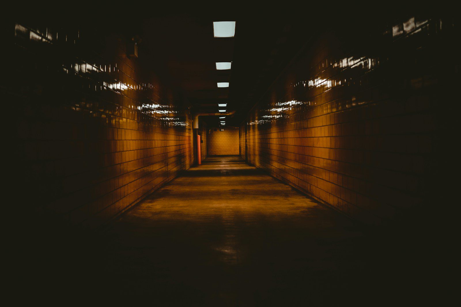 underground road surrounded with lights