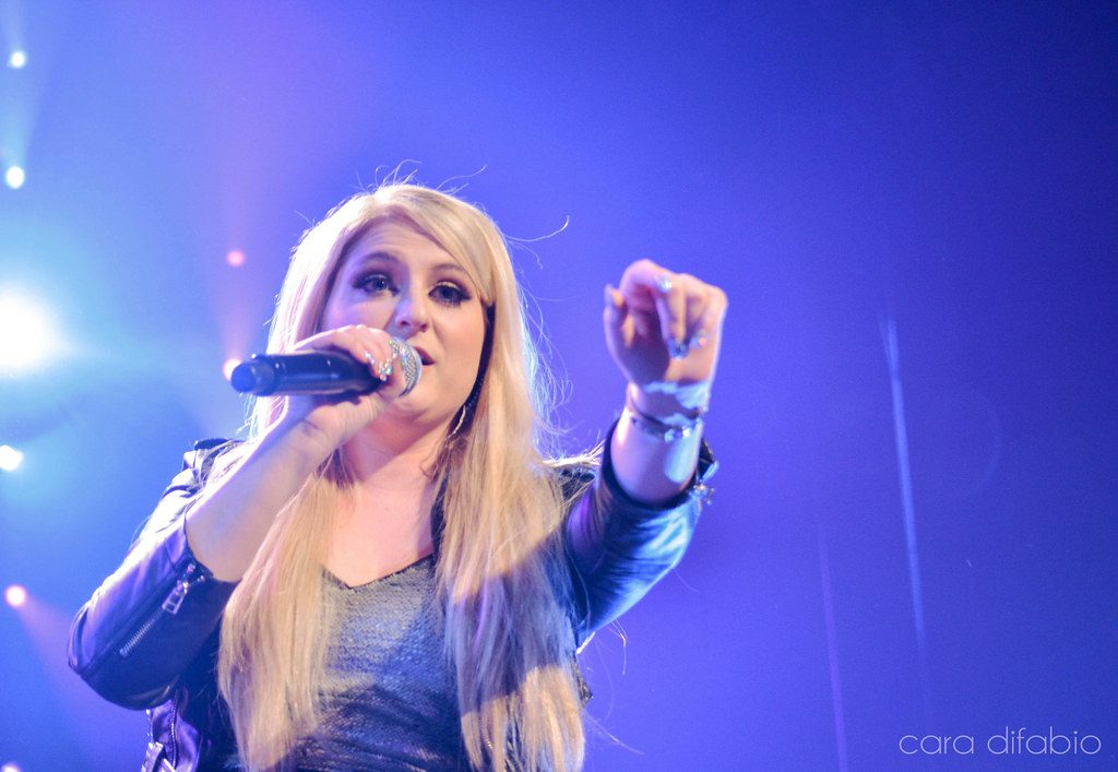 Pop Star Meghan Trainor Welcomes Third Child Via Surrogate
