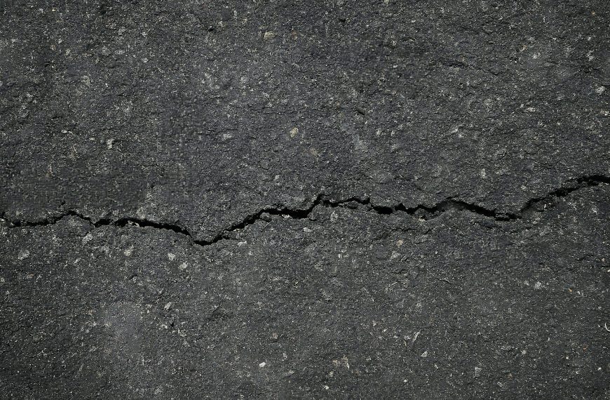 A crack in the asphalt of a street