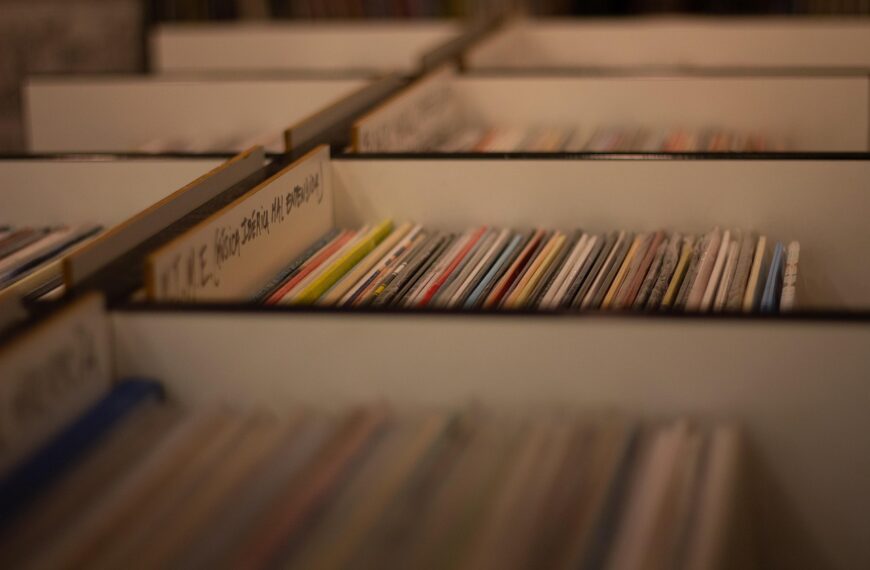 record shop, vinyl records, music, music store, albums, load, vinyl, retro