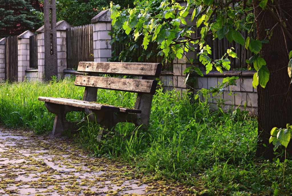 bench, wooden, bus stop, nature, sidewalk, grass, empty, tree, green bus, green stop, bus stop, bus stop, bus stop, bus stop, bus stop