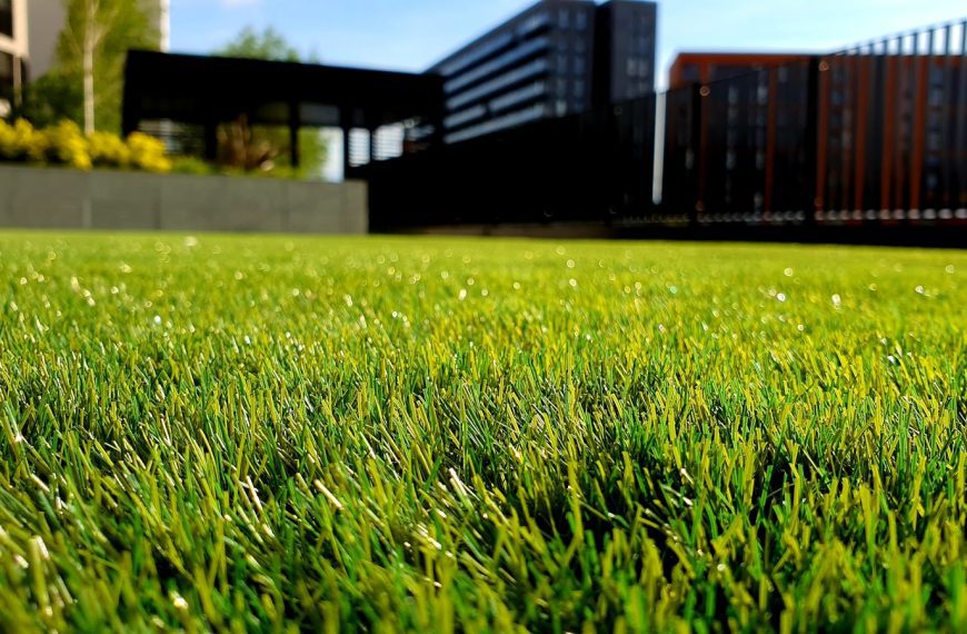 green grass field
