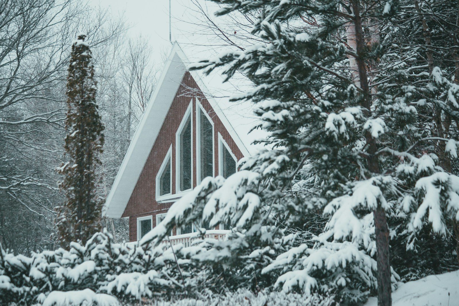 red and white house surrounded by trees covered with snow
