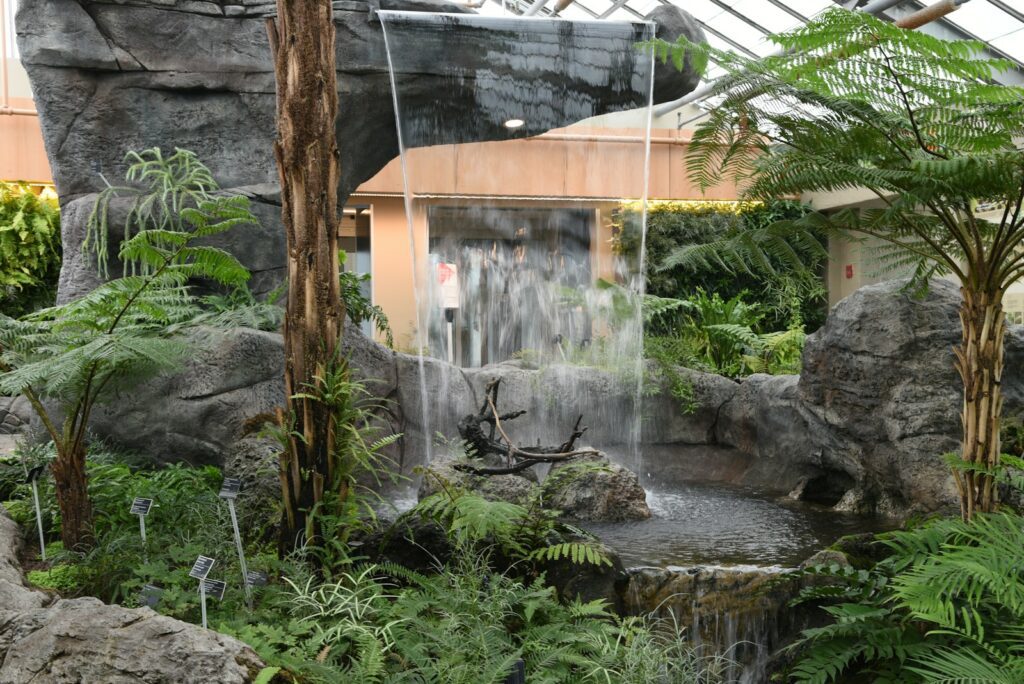 A man-made waterfall cascades into a lush indoor garden.
