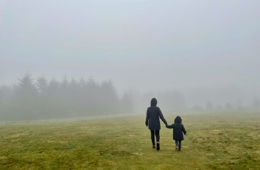 a woman and a child walking through a foggy field