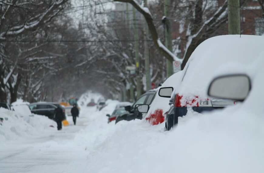 vehicles covered in snow
