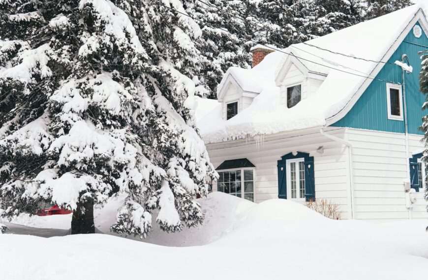 brown house covered with snow near trees during daytime
