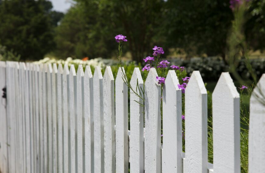 pink petaled flowers blooms near fence