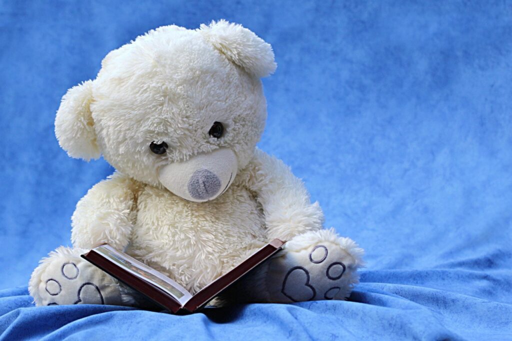 still life, teddy, white, read, a book, background blue, still life, still life, still life, teddy, teddy, teddy, teddy, teddy, a book, a book, a book, a book