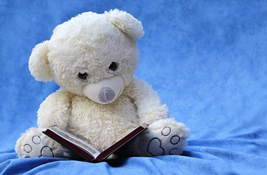still life, teddy, white, read, a book, background blue, still life, still life, still life, teddy, teddy, teddy, teddy, teddy, a book, a book, a book, a book