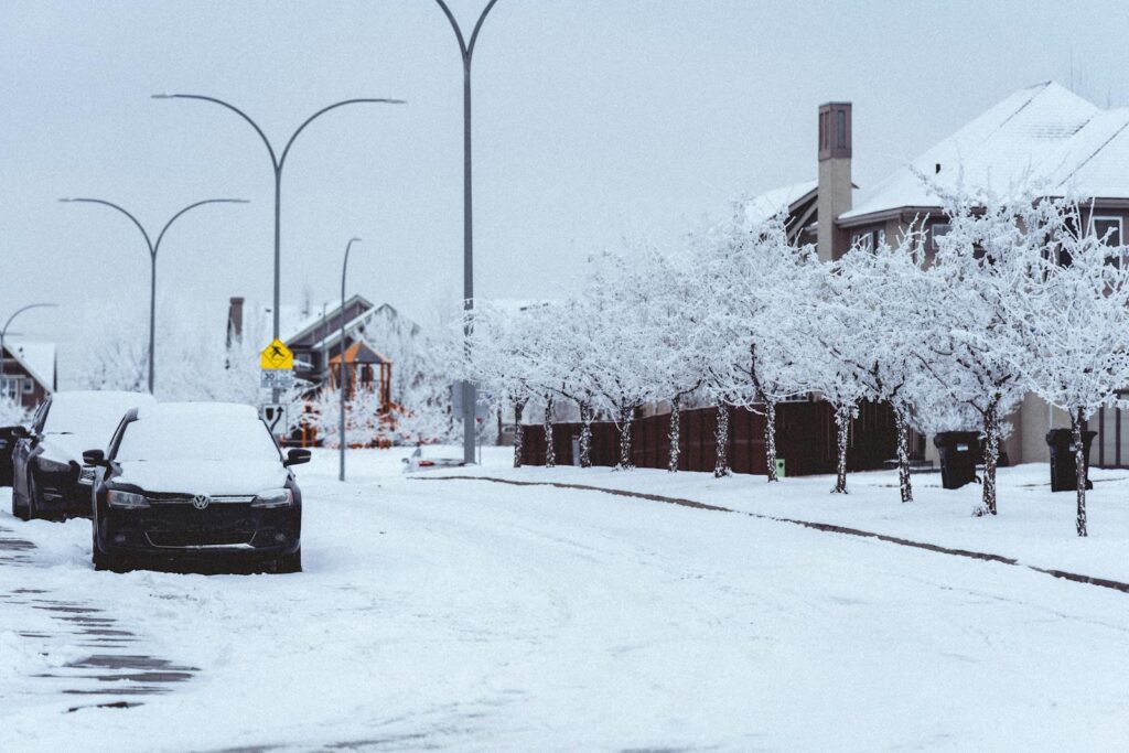 A serene snowy street scene with parked cars and frosted trees in winter.