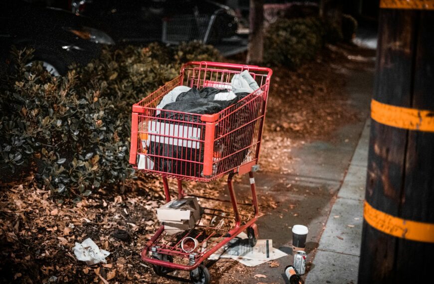 a shopping cart with a red shopping cart full of items