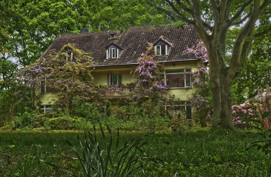 house, architecture, rural, garden, nature, building, old, tree, grass, outside, green, meadow, plant, grasses, in the free, outdoors, green grass, spring, lawn, high grass, overgrown, wisteria, disintegration, weathered, decay, neglected, dilapidated, dilapidated, shabby, transience, broken, ephemeral, ruin, lost, passed, to forget, lost places, past, pforphoto, ailing, forgotten places, given up, destruction, finiteness, disintegrate, dirt, dirty, hdr, overgrown, wisteria, wisteria, wisteria, wisteria, wisteria