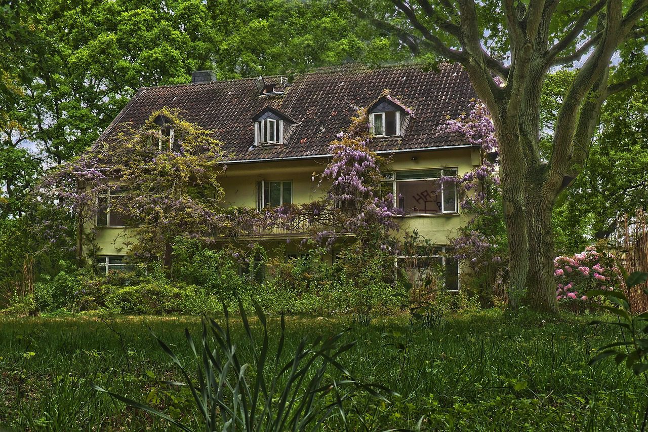 house, architecture, rural, garden, nature, building, old, tree, grass, outside, green, meadow, plant, grasses, in the free, outdoors, green grass, spring, lawn, high grass, overgrown, wisteria, disintegration, weathered, decay, neglected, dilapidated, dilapidated, shabby, transience, broken, ephemeral, ruin, lost, passed, to forget, lost places, past, pforphoto, ailing, forgotten places, given up, destruction, finiteness, disintegrate, dirt, dirty, hdr, overgrown, wisteria, wisteria, wisteria, wisteria, wisteria