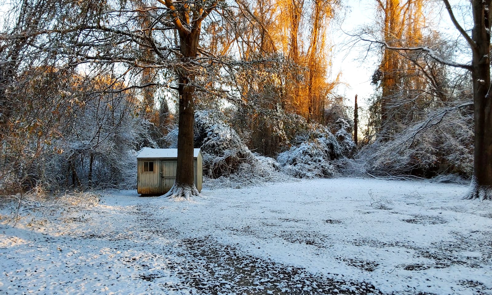A serene winter scene with snow-covered trees and a small shed in North Carolina.
