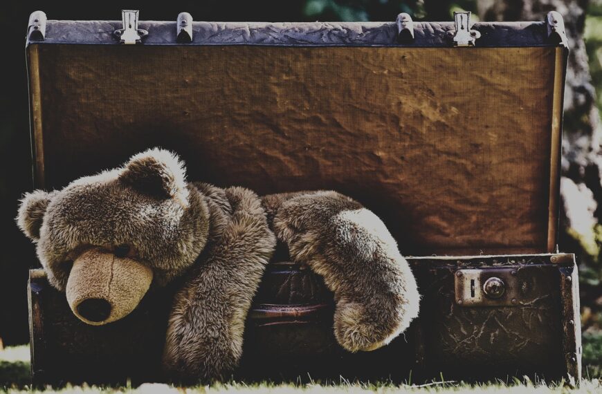 suitcase, antique, teddy, sepia, stuffed animal, toy, old, junk, generations, heirloom, suitcase, suitcase, sepia, stuffed animal, junk, junk, junk, generations, heirloom, heirloom, heirloom, heirloom, heirloom