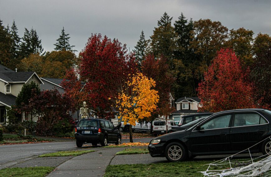 A black car parked on the side of a road