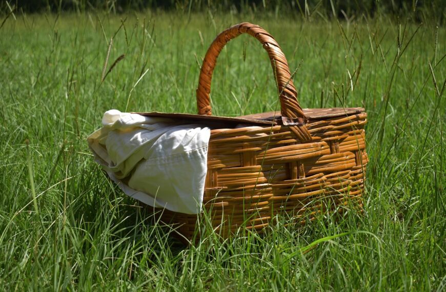 picnic, basket, summer, food, garden, nature, wicker, woven, baskets, picnic, picnic, picnic, picnic, picnic