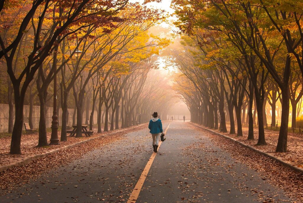 road, pavement, woman, trees, walk, girl, fog, walking, roadway, avenue, nature, mist, leaves, foliage, autumn, fall, park